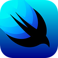 SwiftUI Black Friday Deal Image